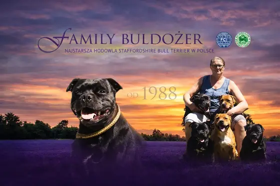 Zdjęcie hodowli Family Buldożer