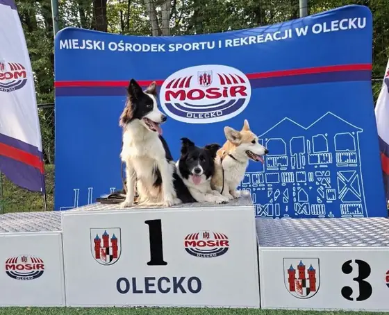 Zdjęcie hodowli Niezłe Kwiatki